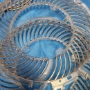 모두올홈케어 이미지