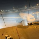 다낭 | 파라타항공 타고 다낭 다녀온 후기 ✈️