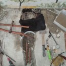 청솔(관) 이미지