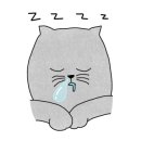 은영미용실 - 부평구 | 은영미용실