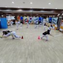 용인대 미르 태권도장 이미지