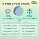 남극탐험아이스크림 네이버블로그