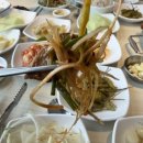 오로지김치찌개,돼지불고기청대점 | 부여 명륜진사갈비 가격,메뉴,샐러드바,무한리필 내돈내산 후기