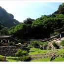 UR(영주시)-[봉화로]-상-38 | 108산사 108배 [11-3] 삼화사.관음암.불영사.고운사.청량사 2009.06.13-26(13/14)