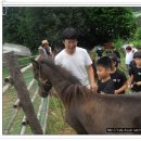 봉황의나라 고흥택견 전수관 이미지