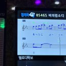 초당솔향약국 | 여름휴가 강릉