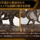 트리케라톱스-2 이미지