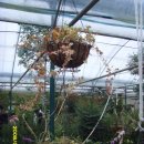 양남농장 이미지