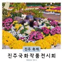 진주종합경기장 테니스장 | 경남국화축제 진주국화전시회 축제정보 개화상태