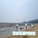 7월펜션 | [아이와 함께] 강화도 동막해변 갯벌체험 강화하이맘키즈펜션 솔직 이용후기 7월, 8월 물때표
