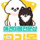 모리몽 네이버블로그