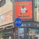 교감 | 인천 서창동 쥬벅스 실내 동물교감체험 후기 ㅡ 아이랑 가기 좋은 동물체험관