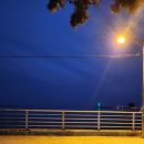 어은돌 바다여행 | 태안 캠핑장 어은돌오토캠핑장 오션뷰 감성 한가득 힐링 캠핑 여행