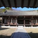 단향 이미지