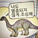 요나요나 이미지