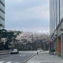 황새울교 앞 네이버블로그