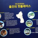 울진 금강송 표고