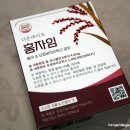 다온바이오 이미지