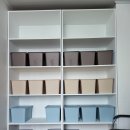 현검애검도장 이미지