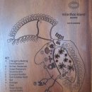 오션컴퍼스 이미지