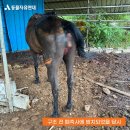 도담축사 이미지