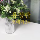 이삭농장3 이미지