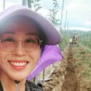 홍천군농업기술센터농기계창고 | 알리 쇼핑 언박싱! 근데… 전부 사과밭 용품이네? ㅋㅋㅋ