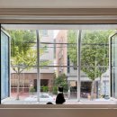 오묘 고양이카페호텔미용 이미지