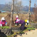 도암면경로식당 이미지