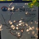 네박자노래방 이미지