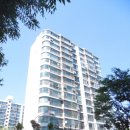 분당-397 이미지