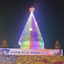 *익산 천만송이국화축제 국화꽃들~ 이미지