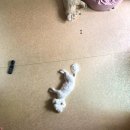 웅천약국 이미지