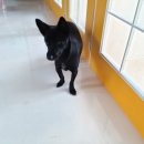 박순호의 아이슬란드 이미지