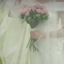 다정꽃할인매장