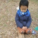 숲어린이집 이미지