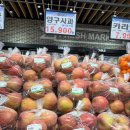 만나청과