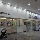 쿨펫동물병원 구미점 | 대전 탄방동 쿨펫동물병원 소개: 반려동물 건강의 든든한 파트너병원