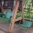 비올레띠 이미지