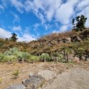 창천리-1 이미지