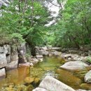 7월27일(일) 괴산 옥녀봉+갈론계곡 야유회(물놀이) 이미지