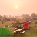 자라섬캠핑장 중도-1 이미지