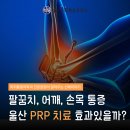 서울척척마취통증의학과 | 울산 PRP 치료, 무릎·어깨·팔꿈치 통증에 효과 있을까?
