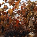 구미가축병원 이미지