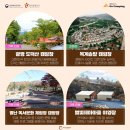 캠프파크 자동차 야영장 이미지