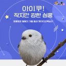 아이쿠
