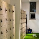 크로스핏 스프링캠프 이미지