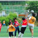 송탄 경희대 태권도 이미지