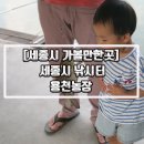 용천농장 이미지