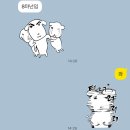 파동사랑약국 | 미친연이 있습니다.